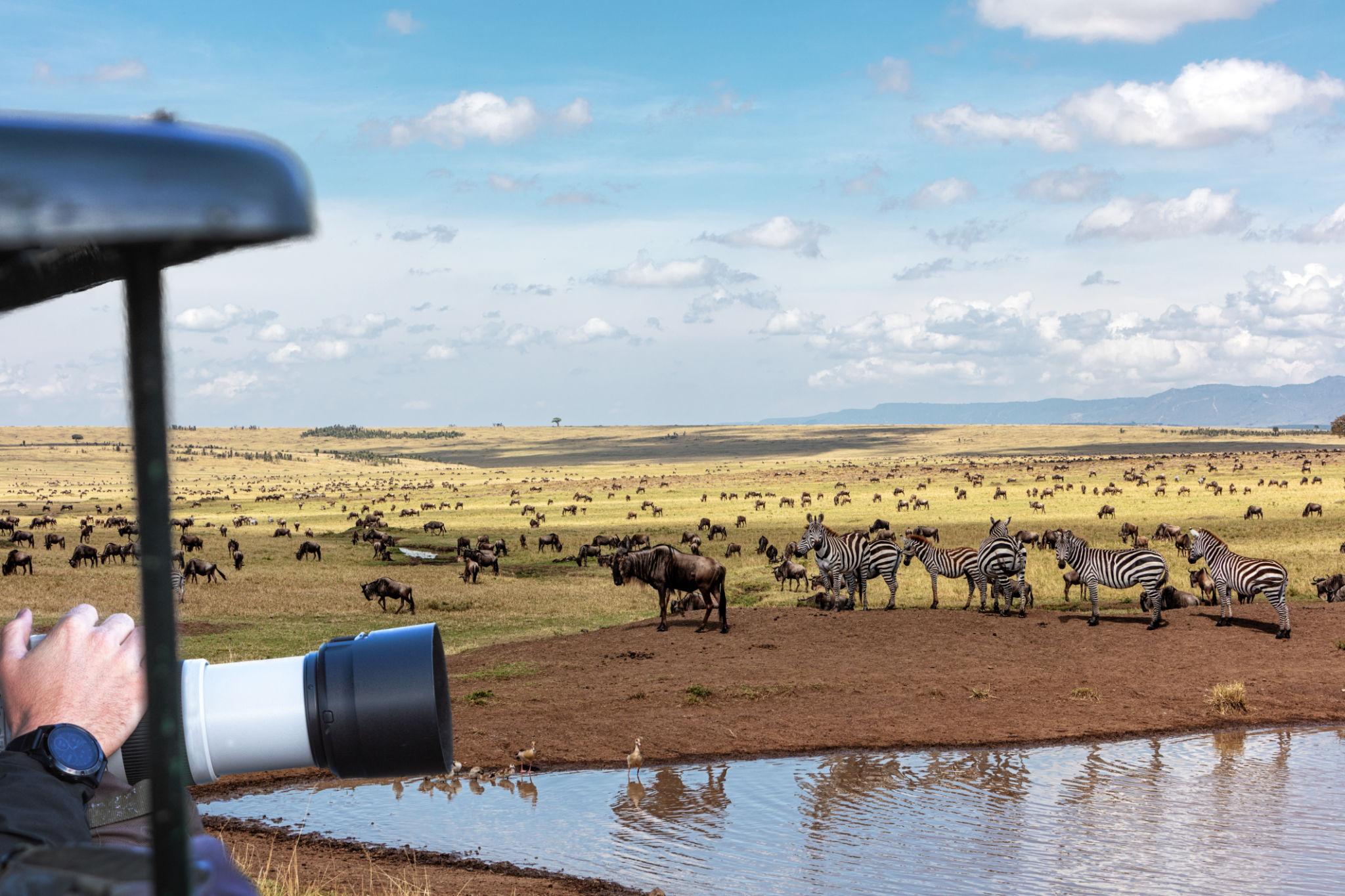 Discover Kenya Gallery