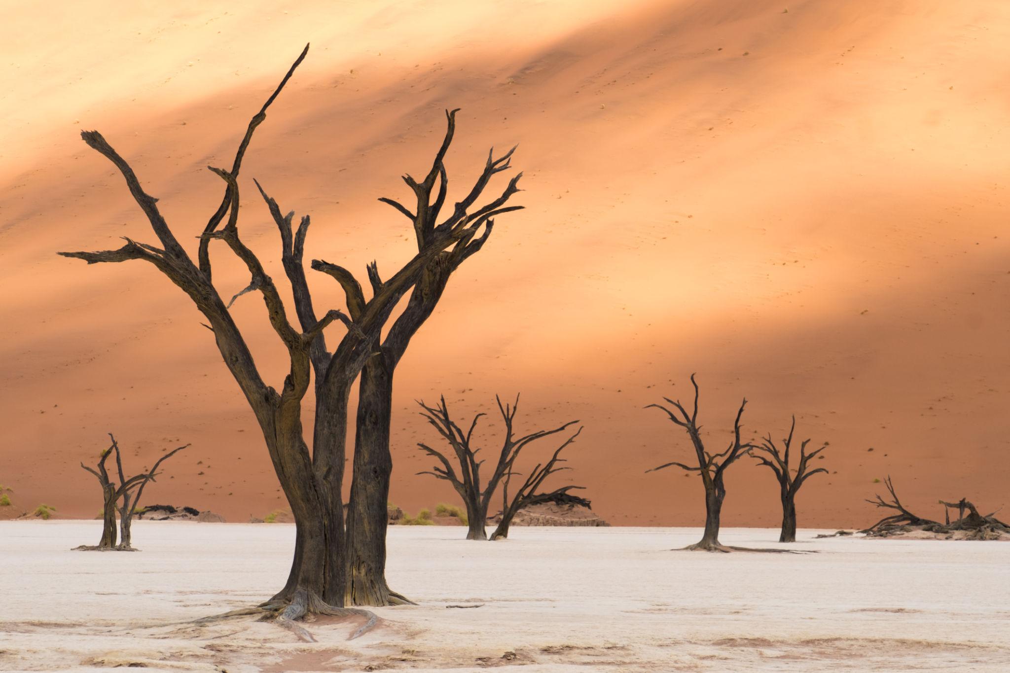 Discover Namibia Gallery