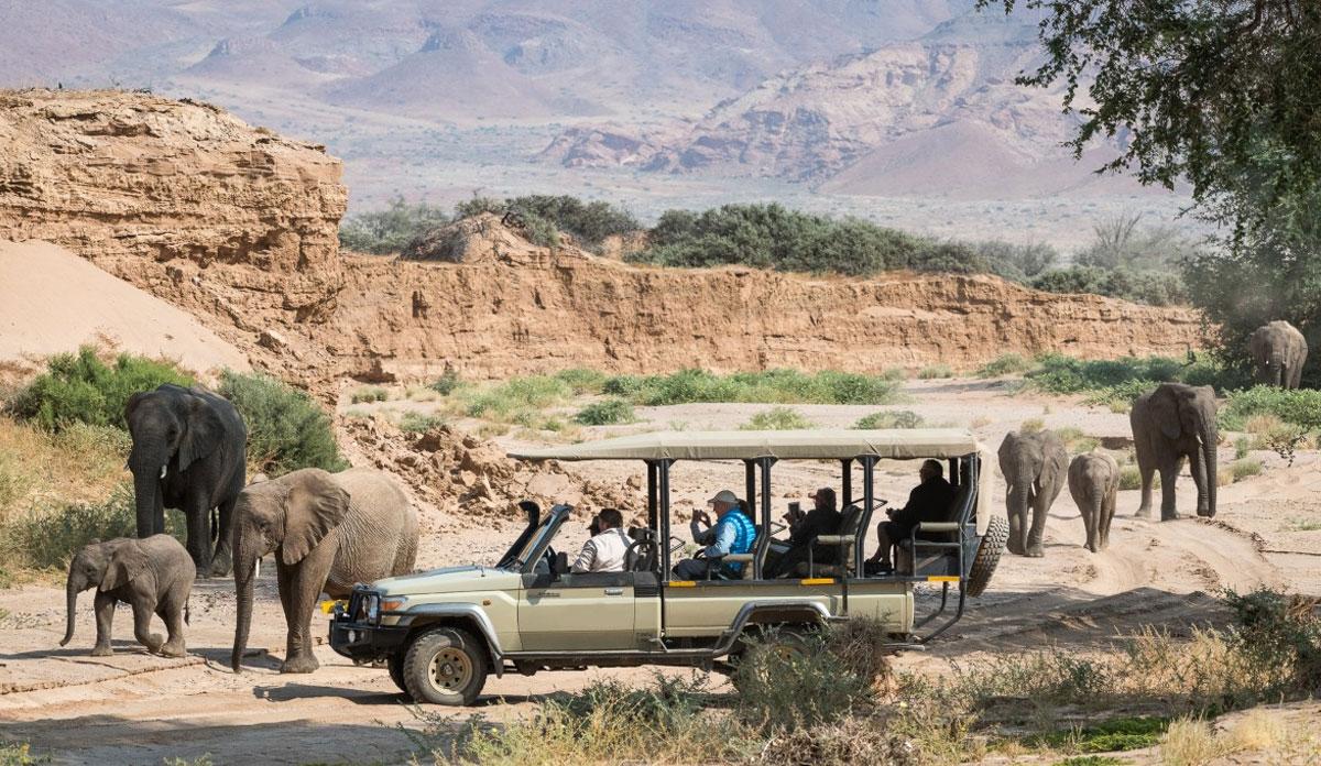 Discover Namibia Gallery