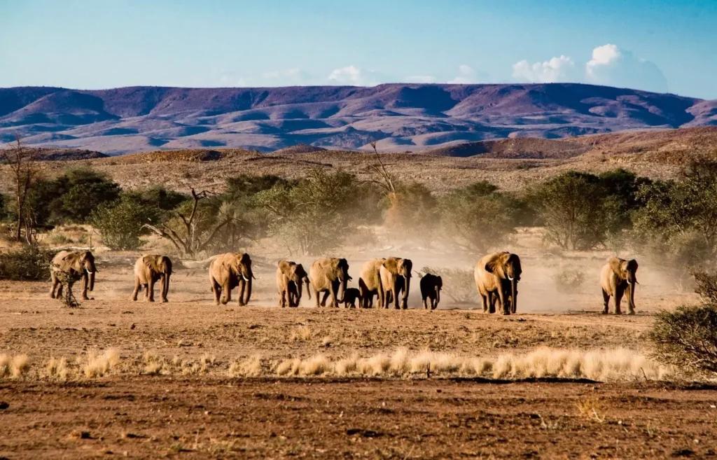 Discover Namibia Gallery