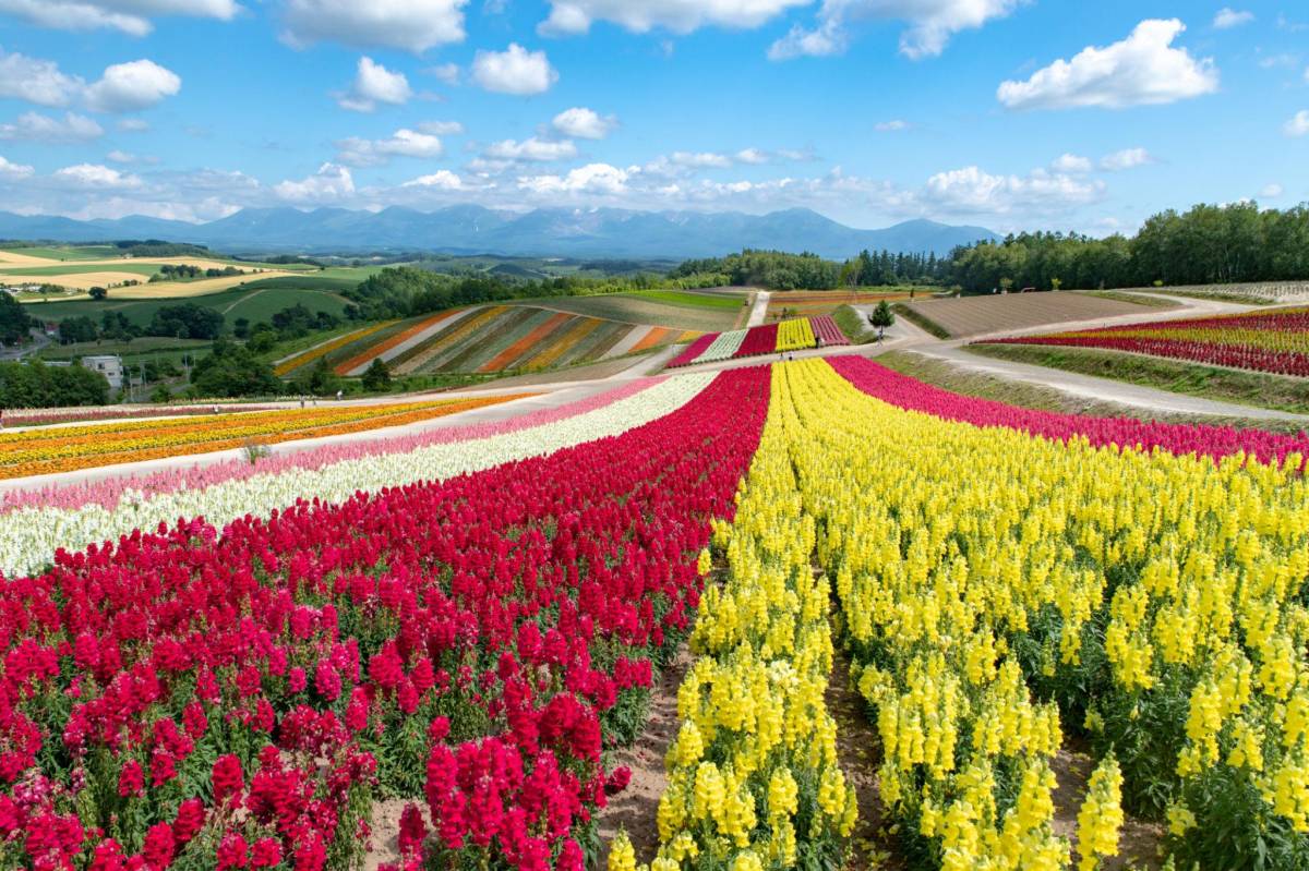 Explore Japan Gallery